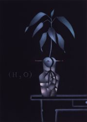 AVATI Mario | Le vouloir de l’eau