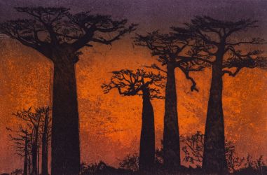 GUIDA STANGASSINGER Elfi | Baobabs