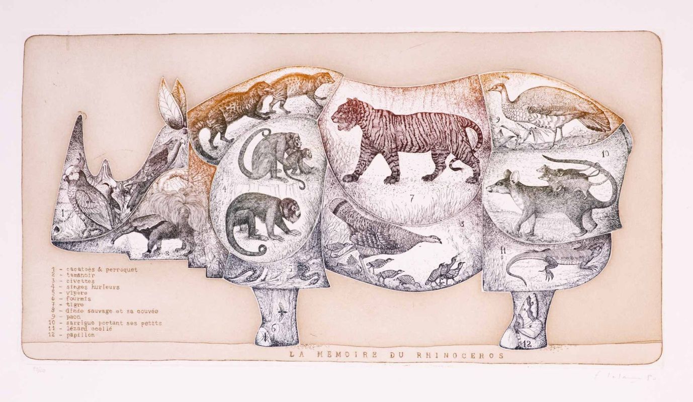 LALANNE François-Xavier | La mémoire du rhinocéros