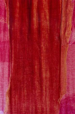 ROUVIERE Nathalie | Diaphane